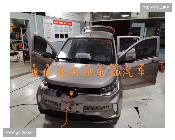 丽驰、鸿日、雷丁的这3款老年代步车,续航150公里起,你选哪个? 丽驰、鸿日、雷丁的这3款老年代步车,续航150公里起,你选哪个?