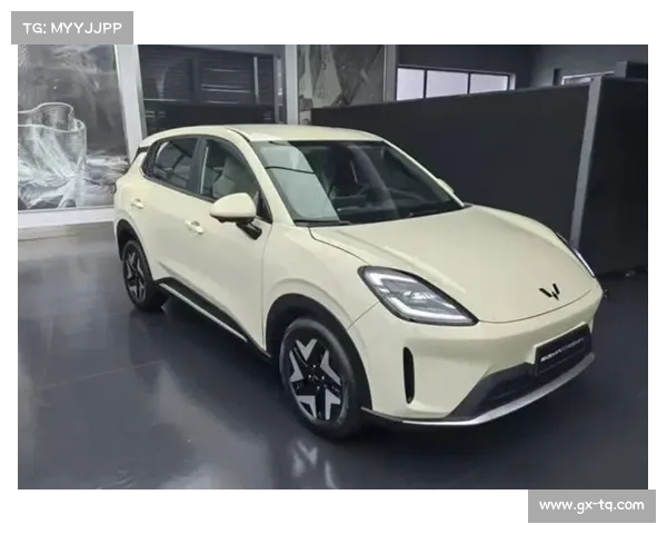 五菱又带来一款高颜值、硬实力小车,缤果S首发,它有多强? 五菱又带来一款高颜值、硬实力小车,缤果S首发,它有多强?