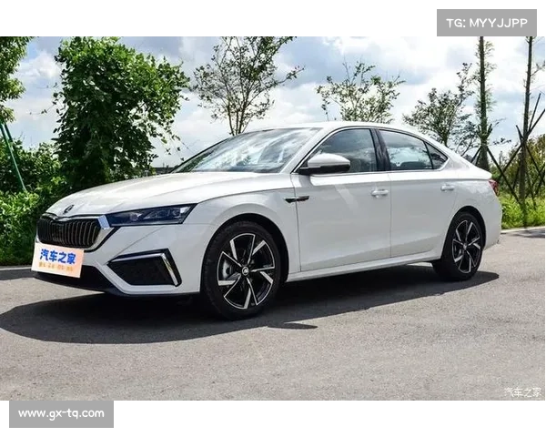 全新斯柯达明锐来了……这颜值还买啥速腾？